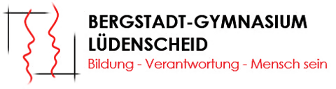 Bergstadtgymnasium Footer